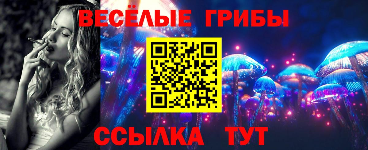 наркотики  Вход с VPN  Морозовск  Псилоцибиновые грибы GOLDEN TEACHER 